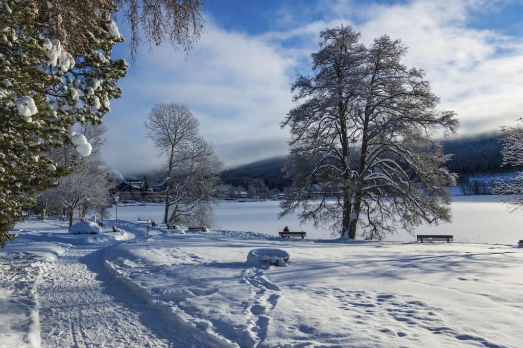 Waldklang Titisee Exterior foto